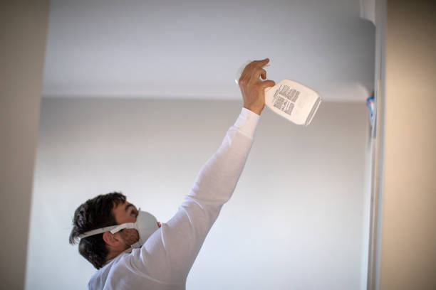 Best Mold Removal Specialists  in Chalfant, CA