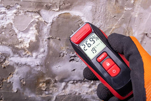 Best Toxic Mold Removal  in Chalfant, CA