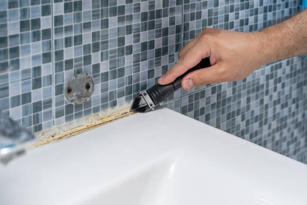 Best Fast Mold Removal  in Chalfant, CA