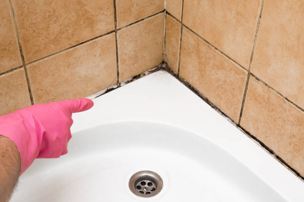 Crawl Space Mold Removal in Chalfant, CA